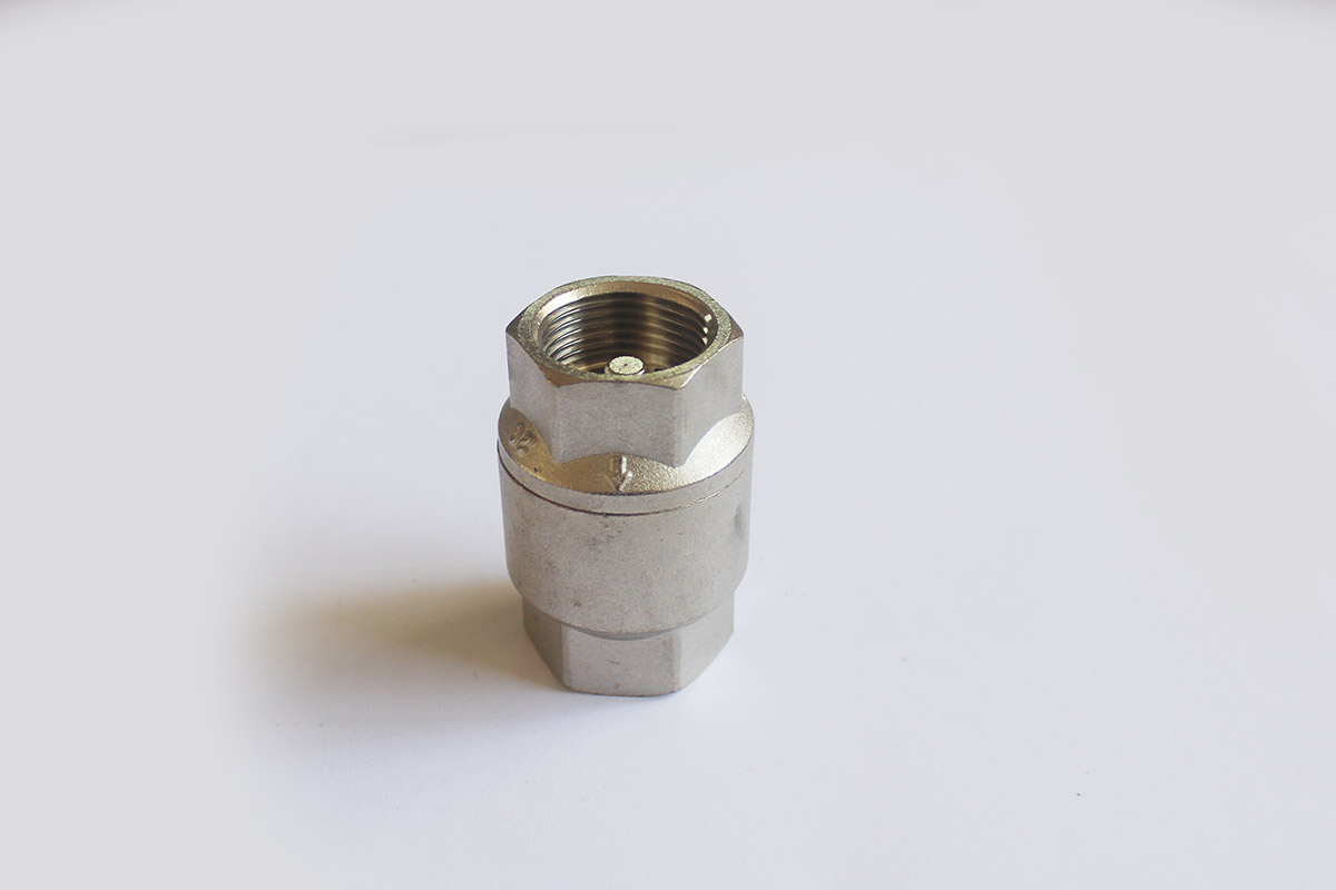 6101 vertical check valve