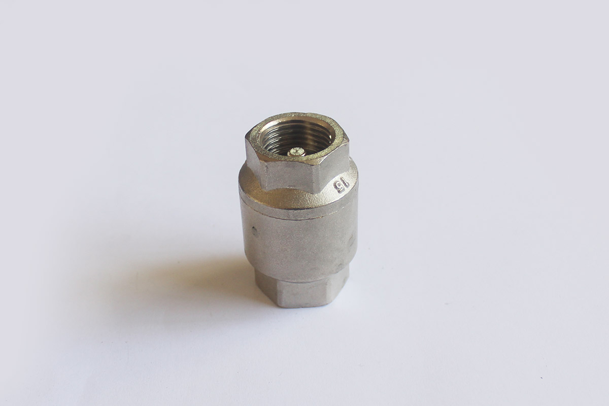 6101 vertical check valve